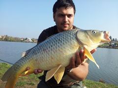 Moara Vlasiei 2 26 - 26 oct.